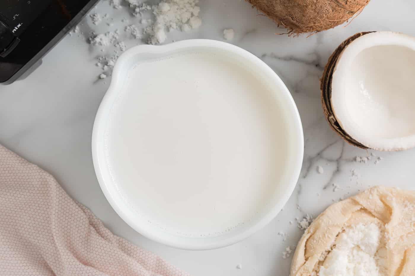 Is a Blender or Juicer Best to Make Coconut Milk & Other Nut Milks? 