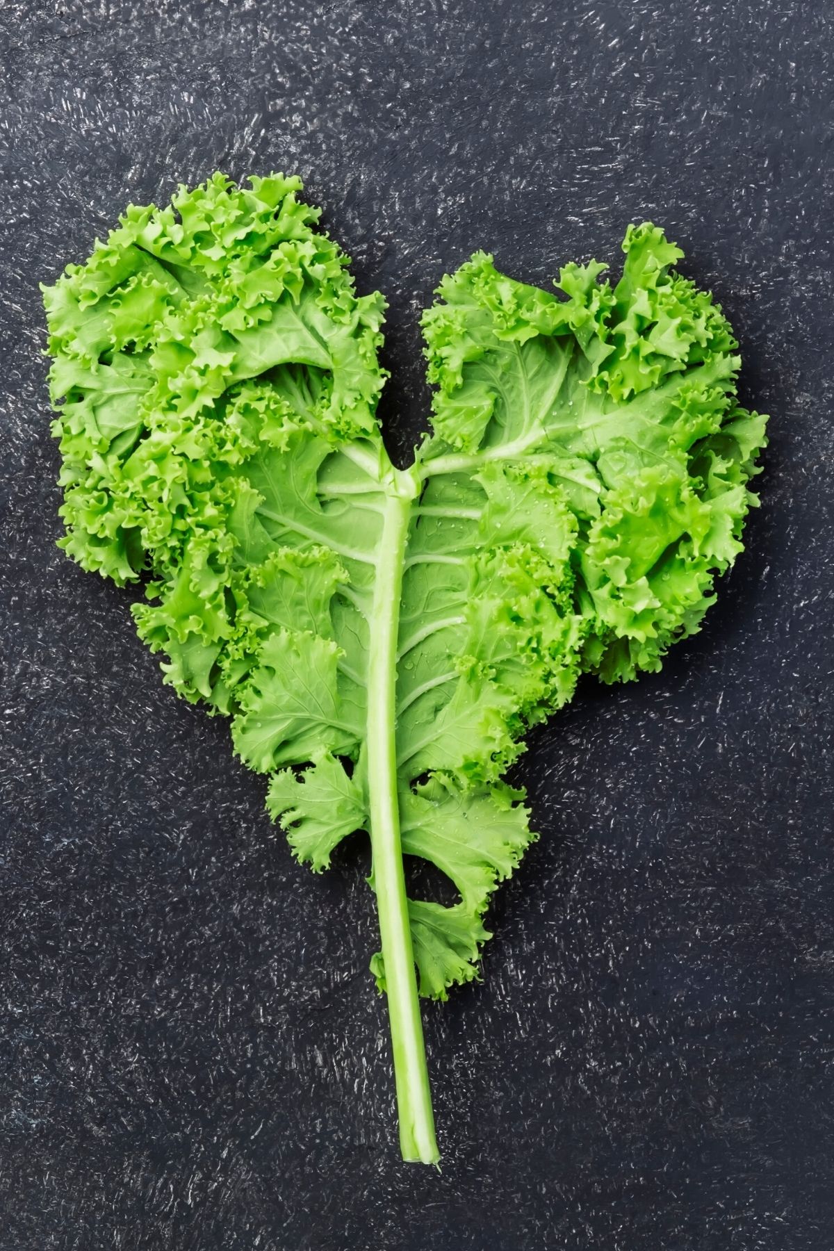 Why Should I Eat Kale? Health Benefits & Recipes For The Plant