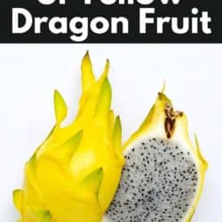 yellow dragon fruit taste