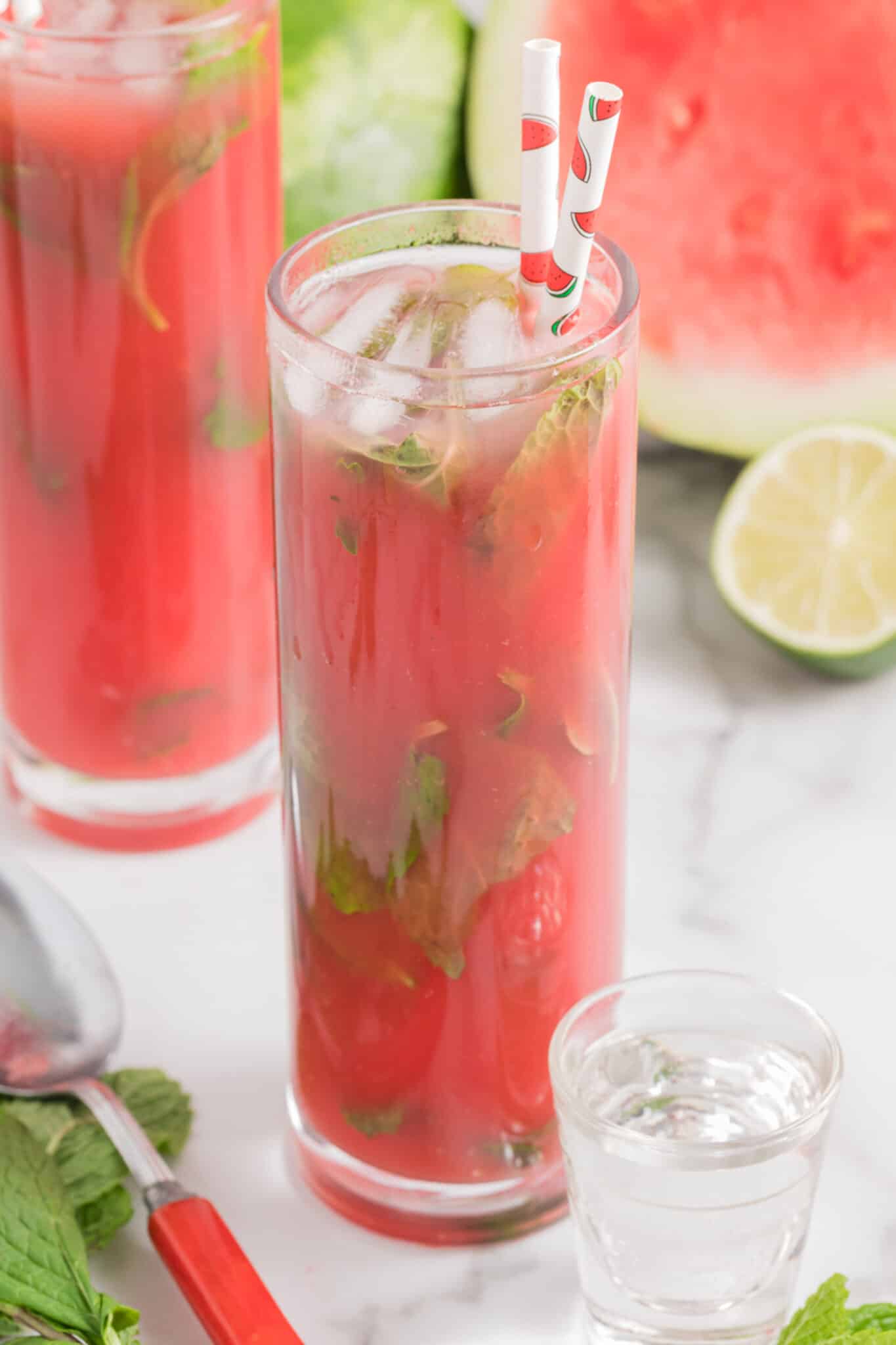 Watermelon Vodka Cocktail made with Blended Fresh Watermelon