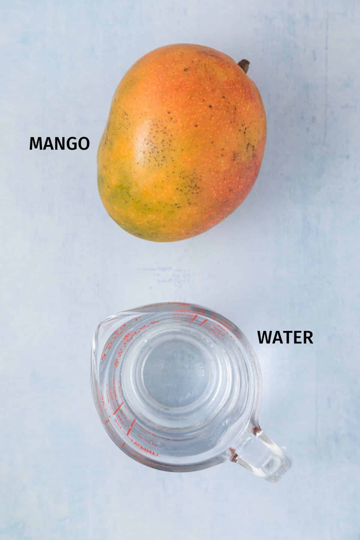 Easy Mango Juice (2 Ingredients)