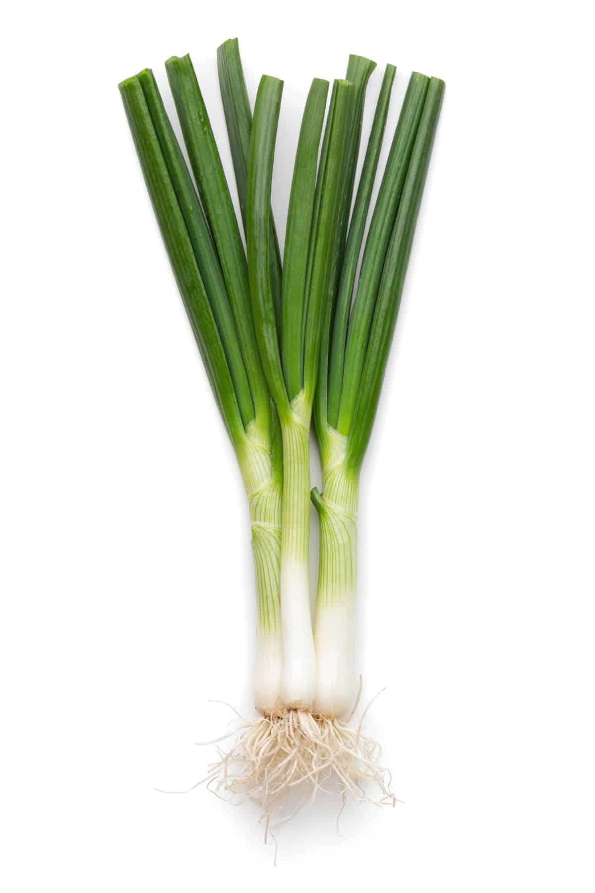 7 Best Substitute For Leeks (How And When To Use) - Fit Meal Ideas