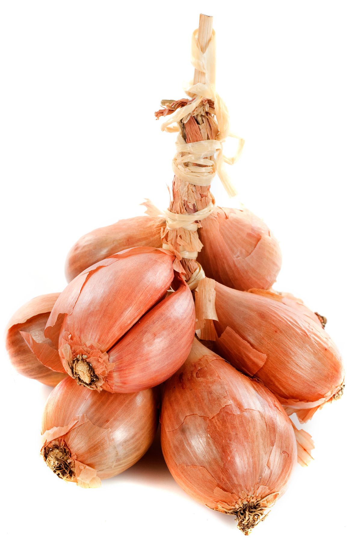 Substitute For Shallots: Which Alternative Is The Best If You're Out?
