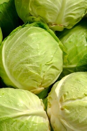 Cabbage Juice Made in Juicer or Blender - Clean Eating Kitchen