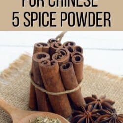 best subs for chinese 5 spice powder pin.